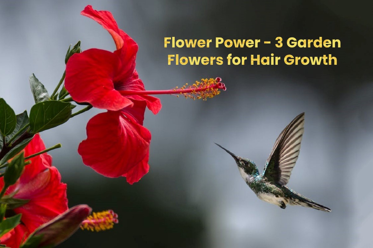 Flower Power: 3 Garden Flowers for Hair Growth